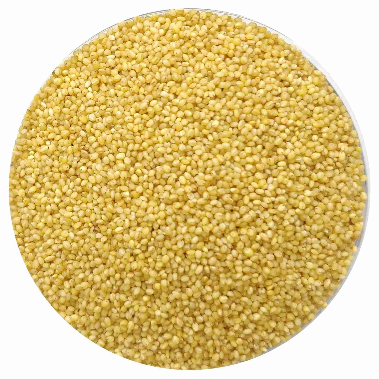 Foxtail millets