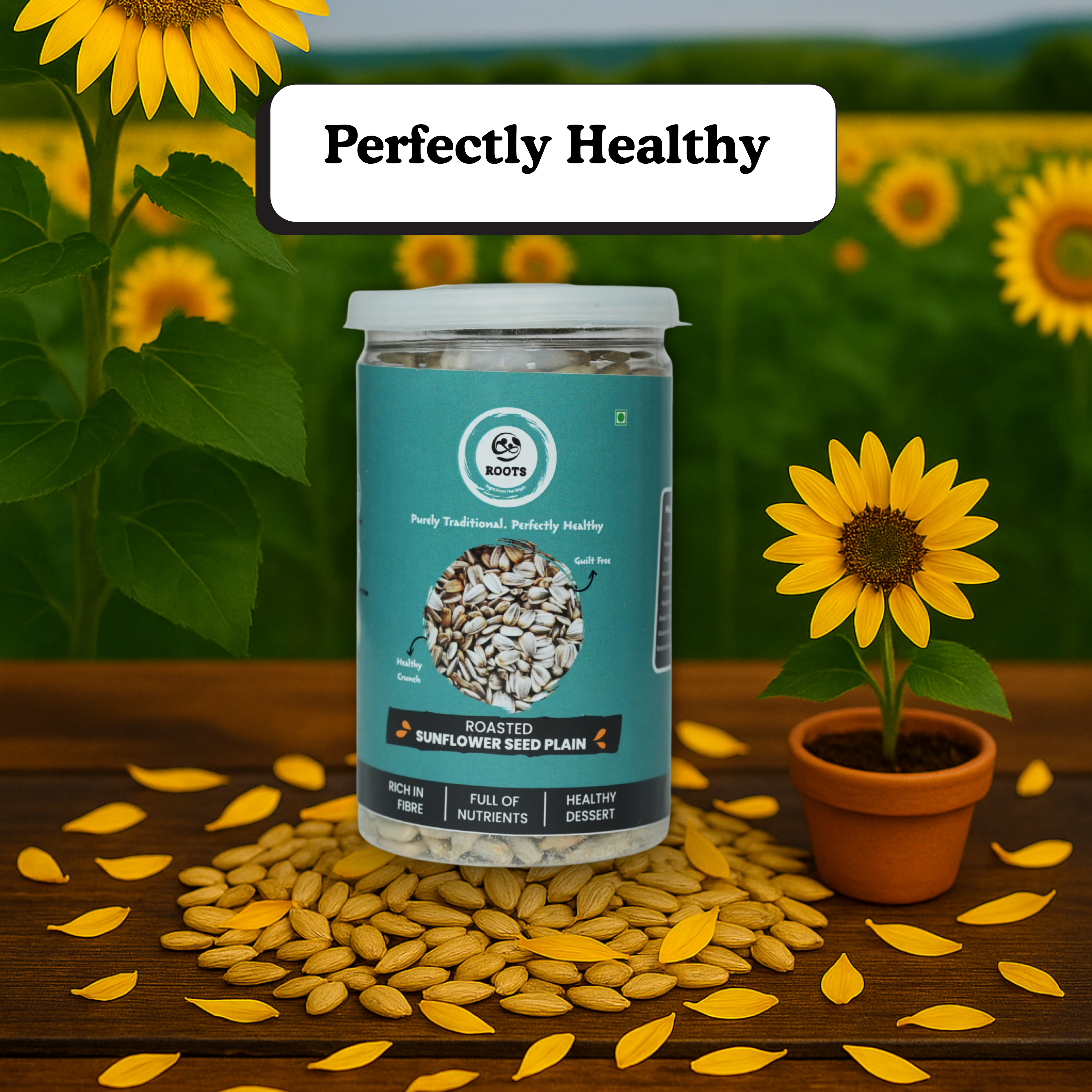 Roasted sunflower seed plain