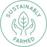 Healthy Fresh Eatables